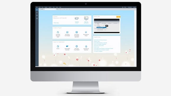 files/2016/10/sap-program.jpg 580w, http://www.ok.kr.ua/files/2016/10/sap-program-300x169.jpg 300w Программа SAP